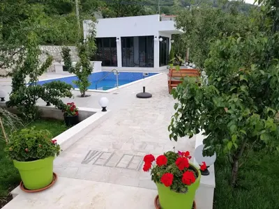 a patio with red flowers in green pots next to a pool at Alt Braic Villa in Budva