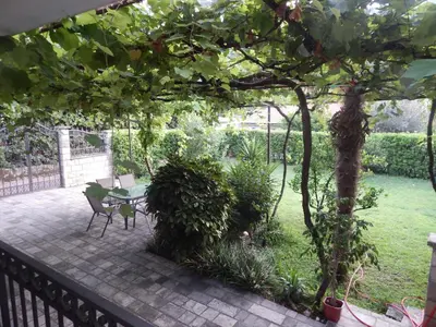 a patio with a table and chairs under a tree at Apartment Iv in Kotor