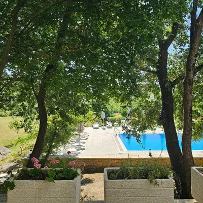a view of a pool with trees and flowers at Green Hill Apartments in Ulcinj
