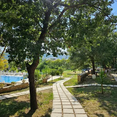 a walkway in a park next to a tree at Green Hill Apartments in Ulcinj