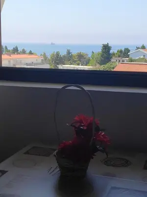 a basket with red flowers sitting on a window sill at Apartmani Vitic in Bar