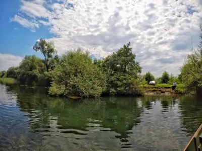 a river with trees on the side of it at Lotus House Dodoši in Dodoši
