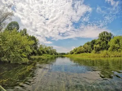 a river with trees and clouds in the sky at Lotus House Dodoši in Dodoši