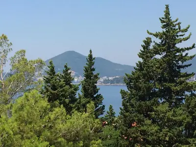 a group of trees with a lake in the background at Harmony in Sveti Stefan