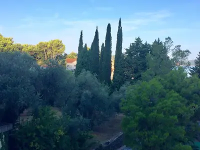 a group of trees with a house in the background at Harmony in Sveti Stefan