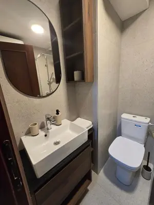 a bathroom with a sink and a toilet and a mirror at Recently renovated Delta Apartment in Podgorica