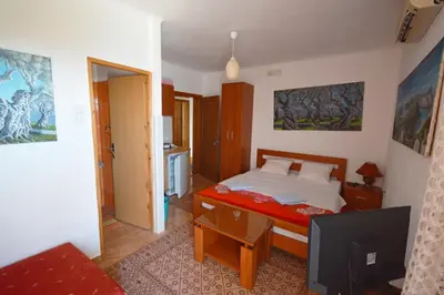 a bedroom with a bed and a tv in it at Apartments Djakonovic in Ulcinj