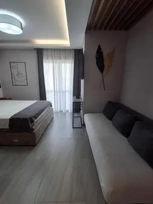 a bedroom with a bed and a couch in it at Apartments Grabovica in Bar
