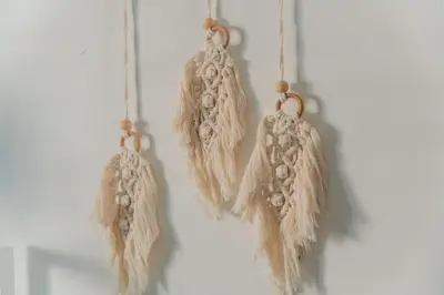 a group of dried feathers hanging on a wall at FKK Ada Bojana in Ulcinj