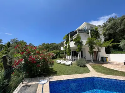 a villa with a swimming pool and a house at Green Villa in Olives in Bar