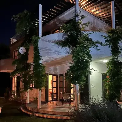 Green Villa in Olives