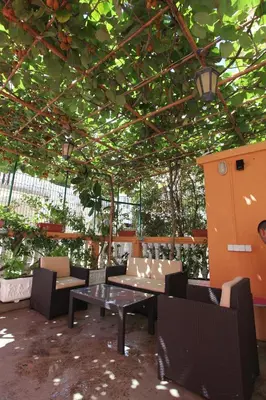 a patio with a table and chairs and trees at Apartments Memidz in Budva