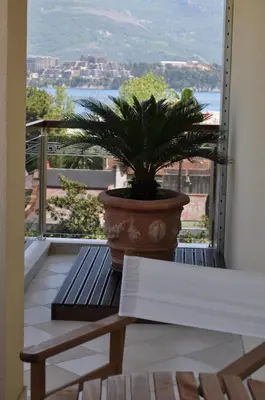a plant in a pot sitting on a balcony at Apartments M Palace in Budva