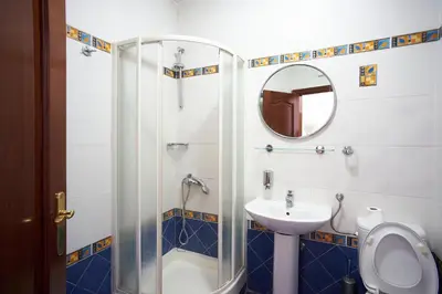 a bathroom with a shower and a toilet and a sink at Apartments Secret Garden in Sveti Stefan