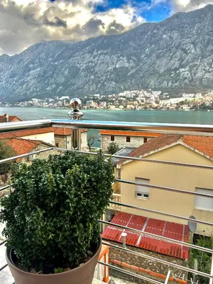 a plant in a pot on a balcony with mountains at Apartments Marković in Kotor