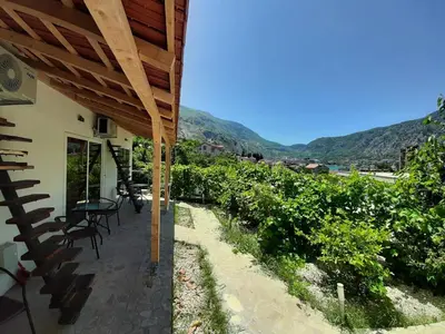 a patio of a house with a view of a vineyard at Apartments Dakovic in Kotor