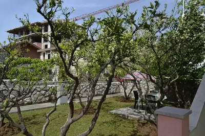 a garden with trees and a building in the background at Apartments Stanka in Becici