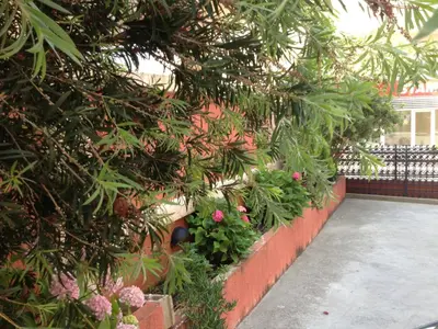 a retaining wall with plants and flowers on it at Apartments Boreta in Budva