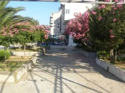 a street with trees and pink flowers and a building at Aleksandar in Sutomore
