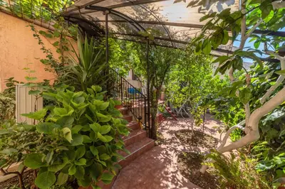 a garden with a set of stairs and plants at Apartments Pod Lozom with Seaview in Petrovac na Moru