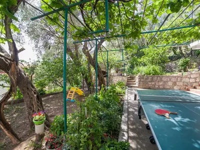 a green ping pong table in a garden at Apartments Midžor in Petrovac na Moru