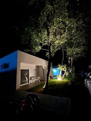 a house with a tree in the yard at night at Villa Hanna in Ulcinj