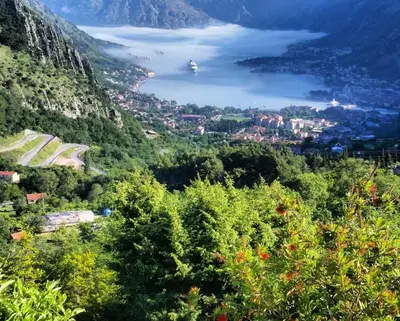 a view of a valley with trees and a lake at Big Hill Apartment in Kotor