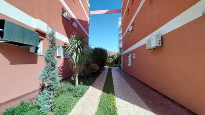 an alley between two buildings with a palm tree on the side at Villa Bojana in Budva
