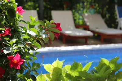 a bush with red flowers next to a swimming pool at Villa Bojana in Budva