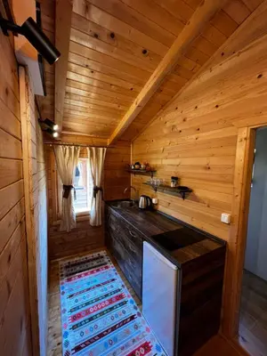 a kitchen in a log cabin with a rug at Orahovo Cottages in Virpazar