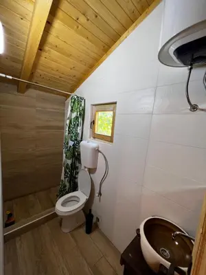 a bathroom with a toilet and a sink at Orahovo Cottages in Virpazar