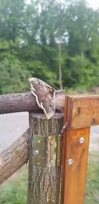 a bird perched on top of a wooden post at Orahovo Cottages in Virpazar
