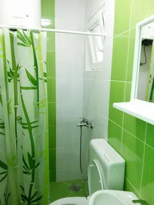 a green bathroom with a toilet and a shower at Apartmani Lekovic Sutomore in Sutomore