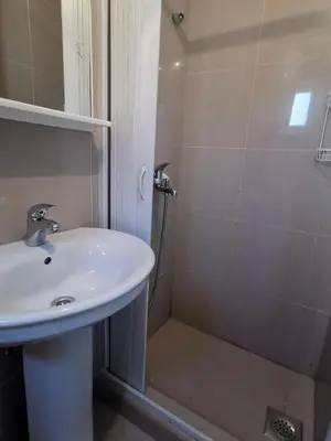 a bathroom with a sink and a shower at Apartments Coso Zlatne njive bb in Kotor