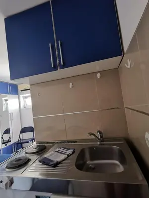 a kitchen with a sink and a counter top at Apartments Coso Zlatne njive bb in Kotor