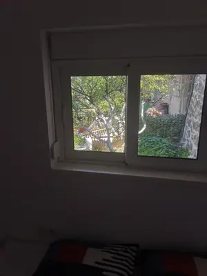 a window with a view of a garden outside at Apartments Coso Zlatne njive bb in Kotor