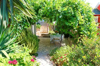 a garden with a table and a bunch of plants at Apartments Villa Milna 2 in Budva