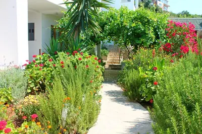 a garden with colorful flowers and a walkway at Apartments Villa Milna 2 in Budva
