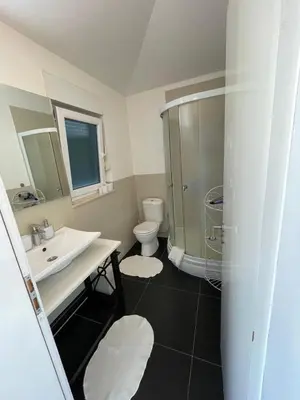 a bathroom with a sink and a toilet at Villa Dobre Vode in Dobra Voda