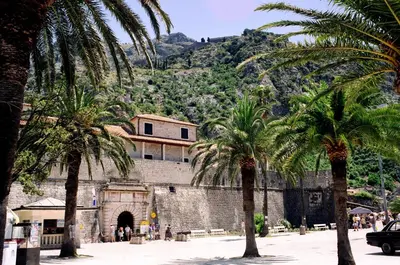 a building with palm trees in front of a mountain at Apartments Kotor Old Town in Kotor