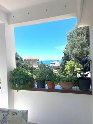 a window with potted plants sitting on a ledge at Apartments Harmonija in Budva