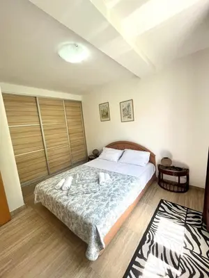 a bedroom with a bed and a rug at Apartments Harmonija in Budva