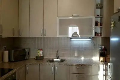 a kitchen with a sink and a microwave at Apartments Maljevic Maca in Bar