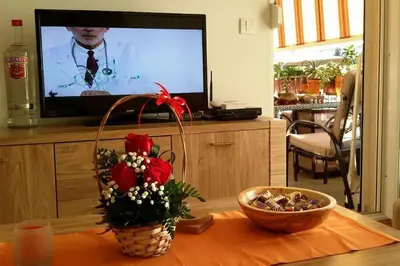 a living room with a tv and a table with flowers at Apartments Maljevic Maca in Bar