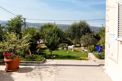 a yard with trees and animals in the grass at Sunny Nest Apartments in Kotor