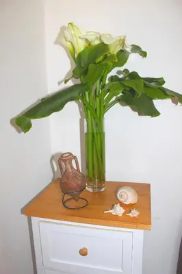 a vase with a plant in it on a table at Monten in Sveti Stefan