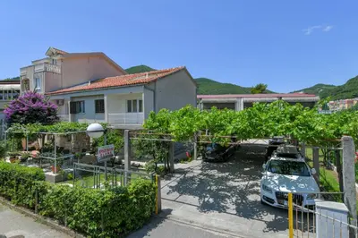 a car parked in a parking lot with a bunch of grapes at Apartments Elena in Budva