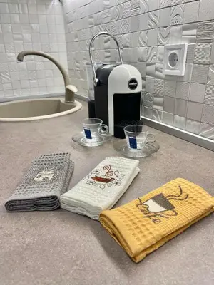a kitchen counter with two towels and a toaster at Apartments Elena in Budva