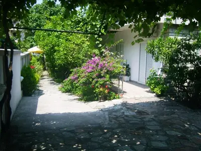 a walkway leading to a house with flowers at Apartments Marković in Budva