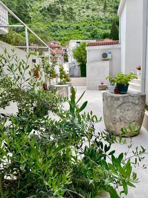 a garden with potted plants on a building at Apartments Marković in Budva
